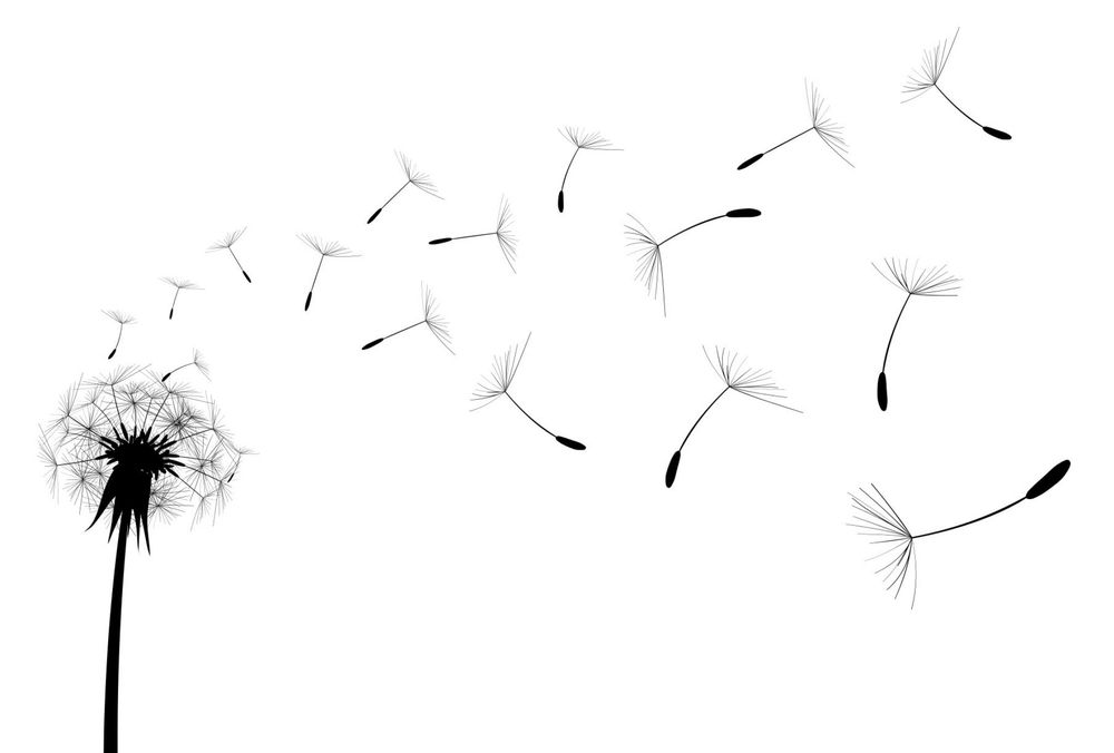 Monsieur Bernard KAZMIERCZAK