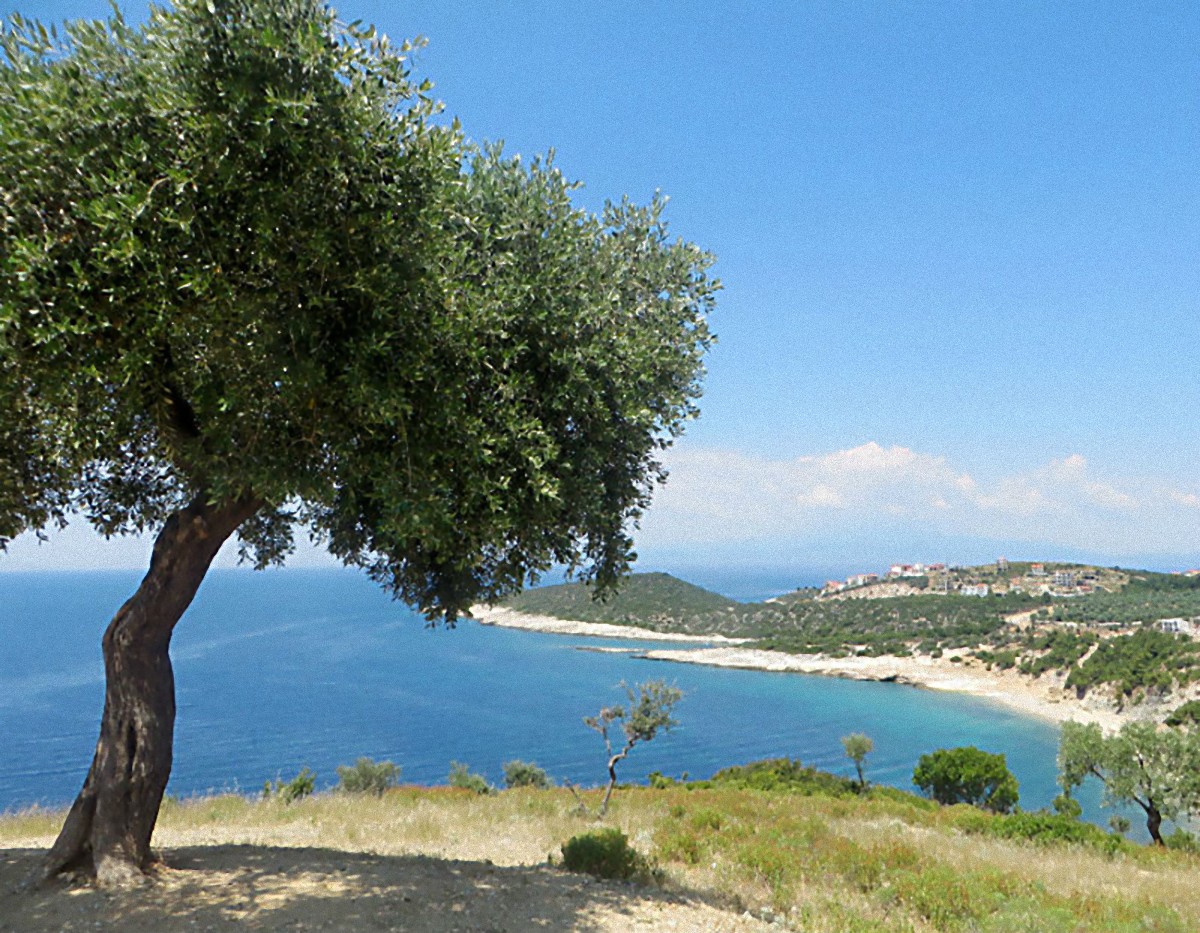 Madame Gilberte ROY née CHARAUDEAU