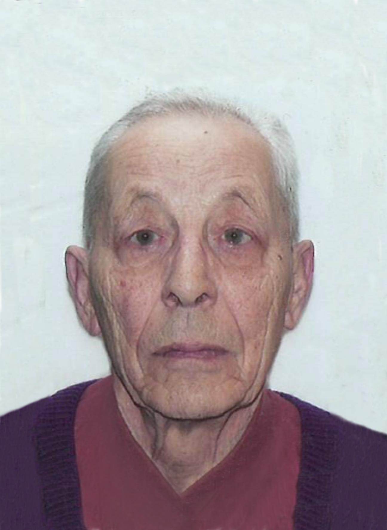 Monsieur Vincenzo BELLISARIO