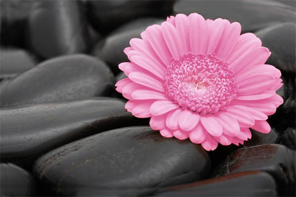 Madame Lucie ALBERTINI CASTELLI