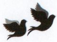 Symbole