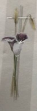 Symbole