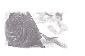 Symbole