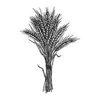 Monsieur Justin KOENIG