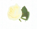 Symbole