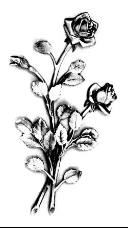 Madame Anne-marie DUPUY née ESCUDIÉ