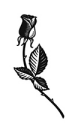Symbole