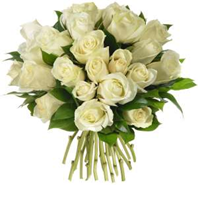 Monsieur Alain DHOTEL