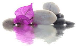 Madame Monique VERBEKE-EMERIC