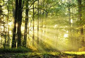 Monsieur Gilles BARRE