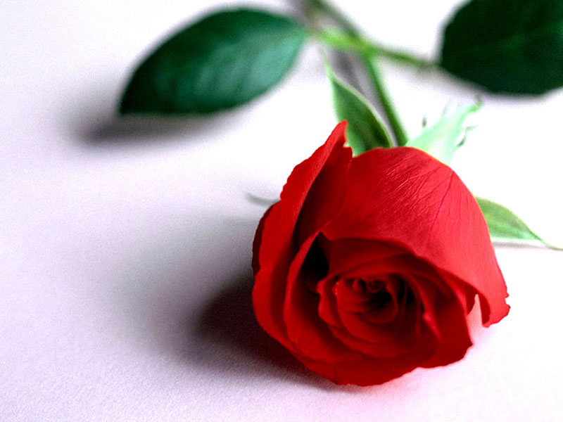 Madame Maryse MARÉCHAL née GUIREL