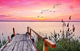 Monsieur Guy DEMARET