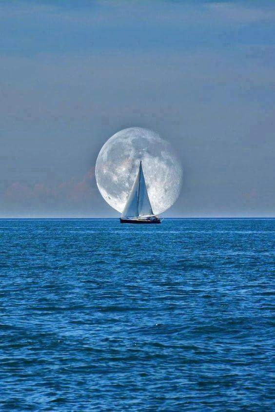 Monsieur Bernard PÉCHEUX