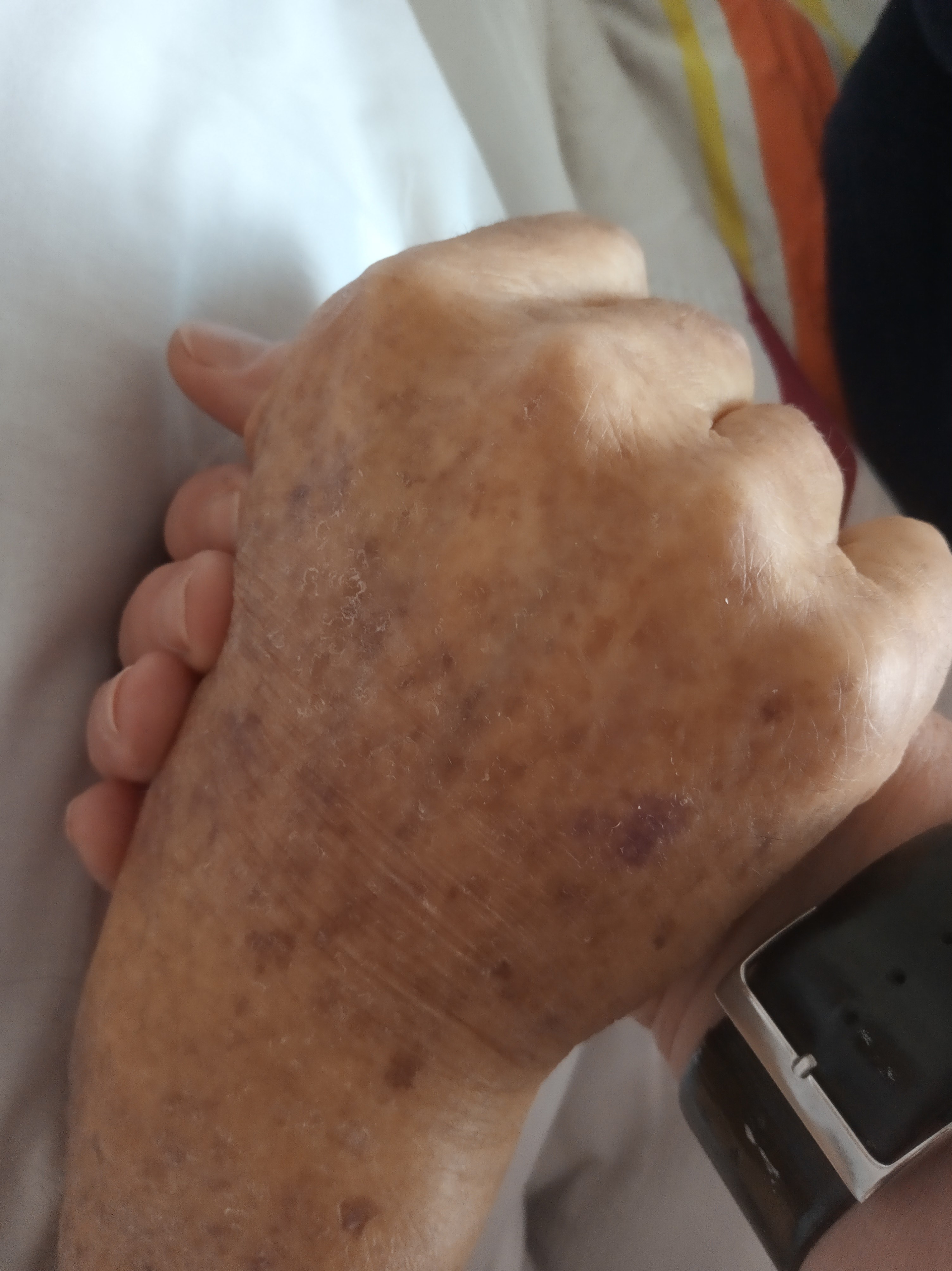 Monsieur Michel ROCHE