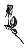 Symbole