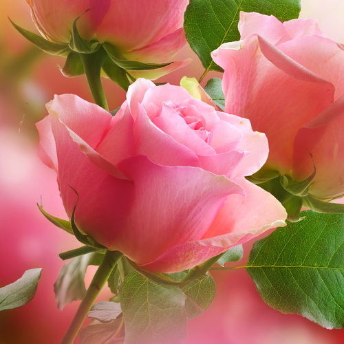 Madame Ginette VALLET née TEXIER