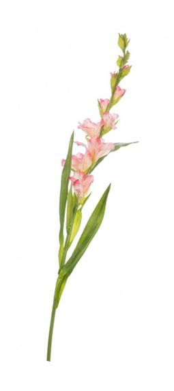 Symbole