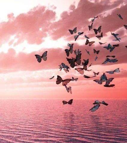 Madame Valérie, Christiane ORTICONI née ORTICONI