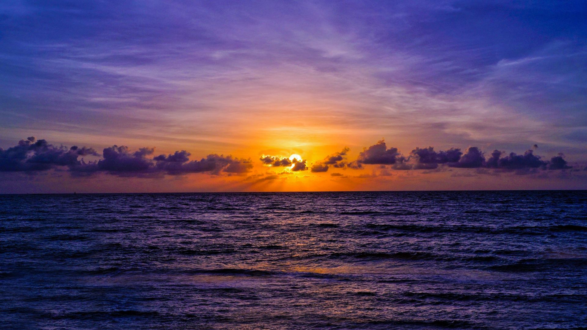 Madame Régine Christiane Josette ZONTA née COLOMBANI