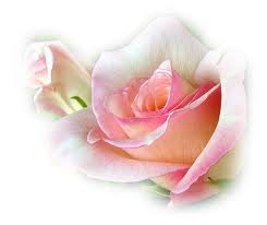 Madame Adelaide Maria MAIRONE née PATRIARCA