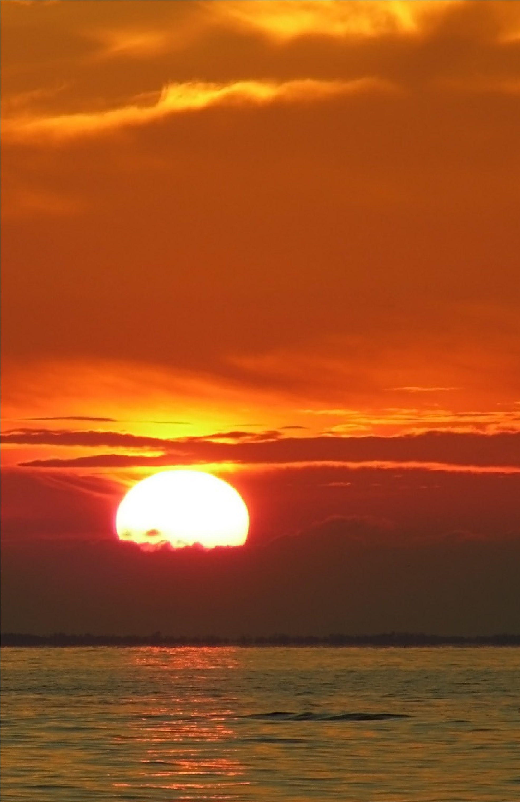 Madame Sylvia, Francine, Marie BALBO née BALBO