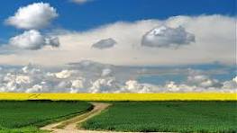 Monsieur Bernard VINCETTE