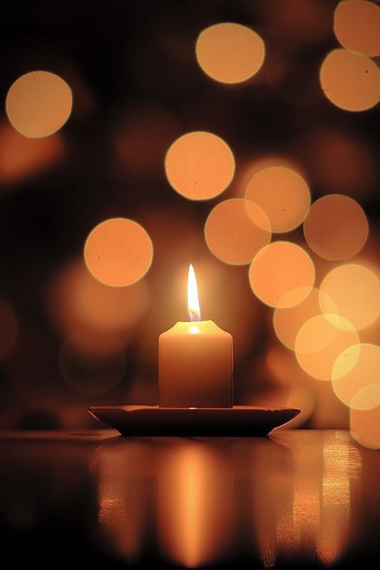 Monsieur Stephane COSTE