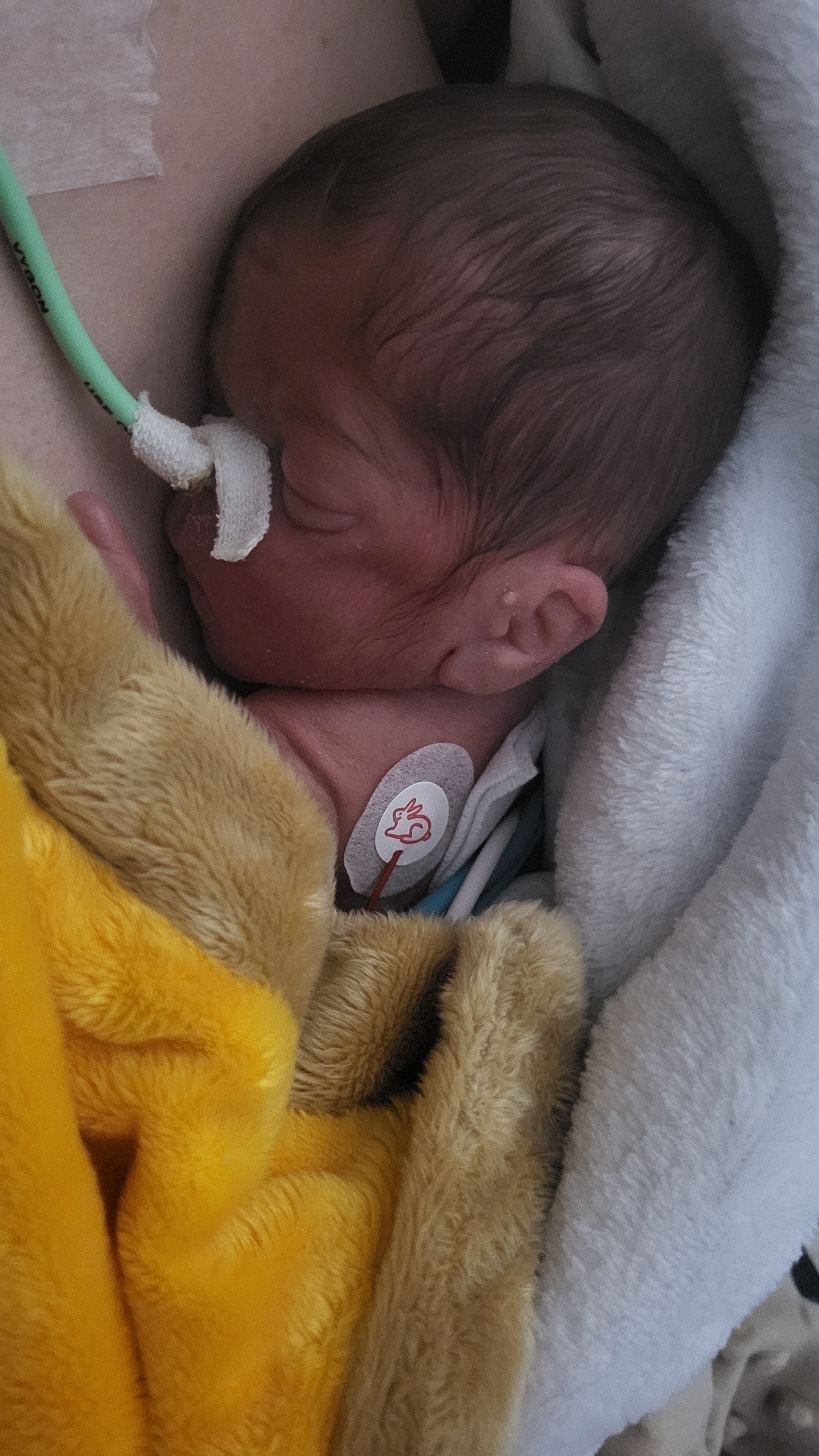 Maylone, Robert HENNART PARENT né(e) HENNART PARENT