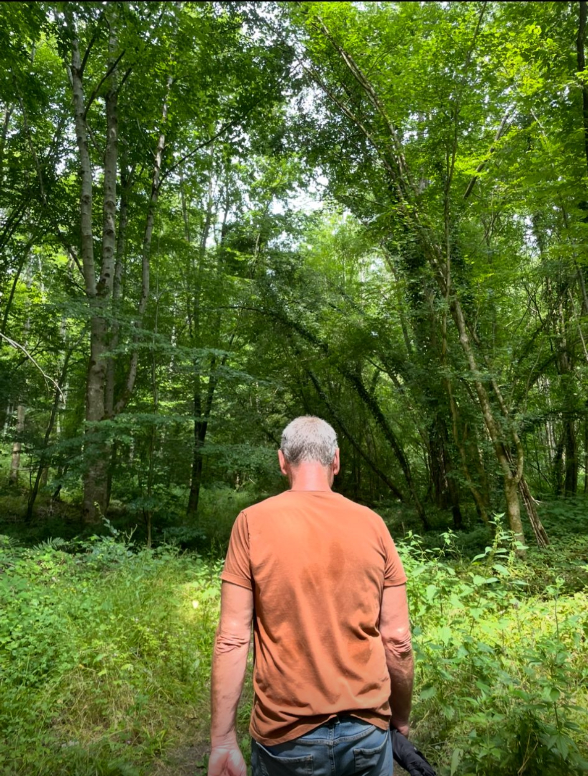 Monsieur Jean-christophe COURLIER