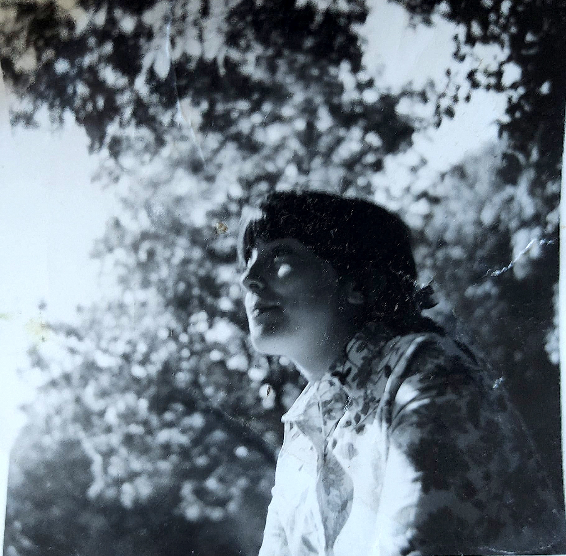 Madame Dominique, Marie-jeanne FERRANDEZ