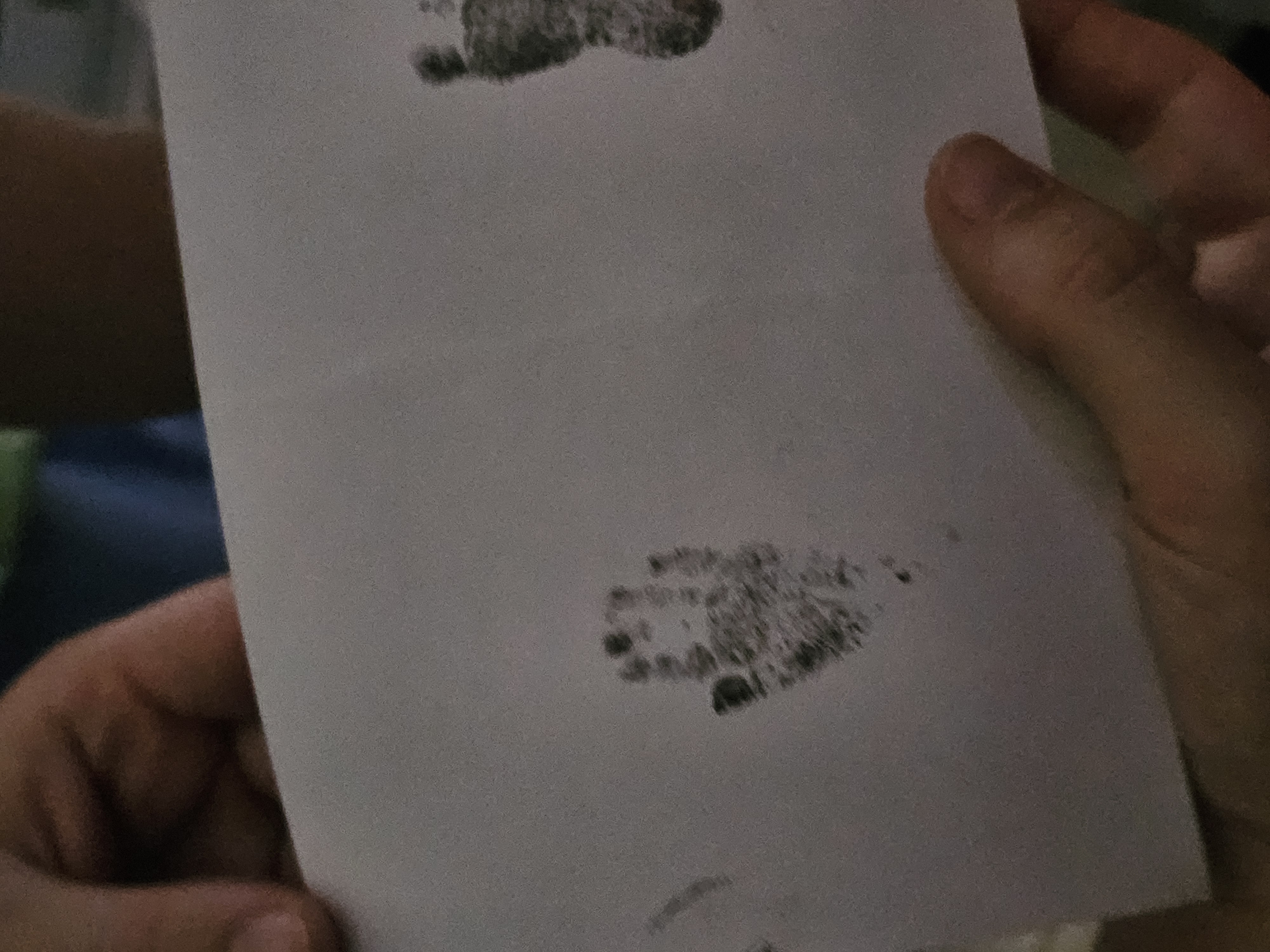 Guilia SOULIE LE BOUCHER né(e) SOULIE-LE BOUCHER