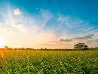 LAROCHE Christiane Née SOENS