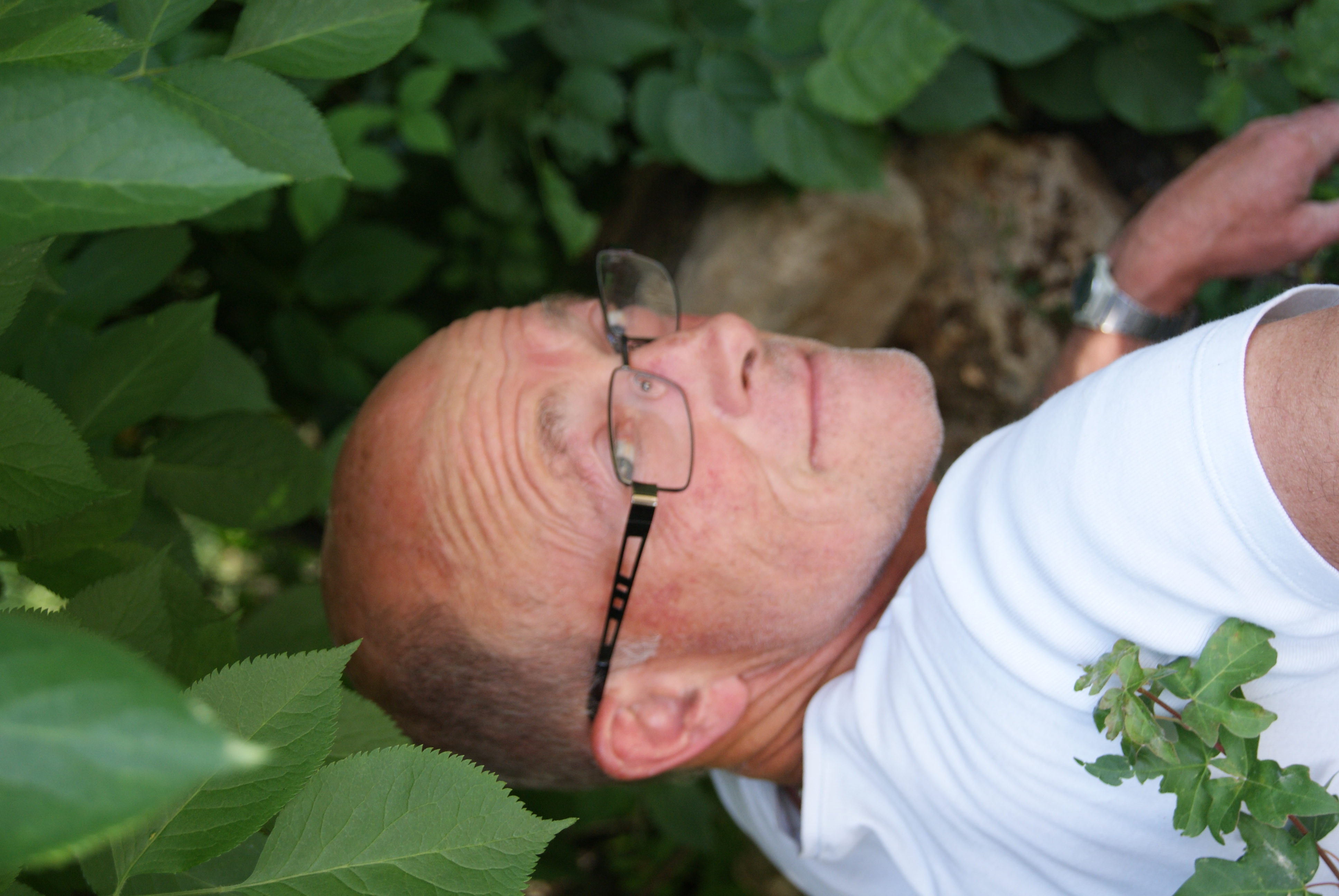 PAULY Gilles Maxime Georges Né PAULY