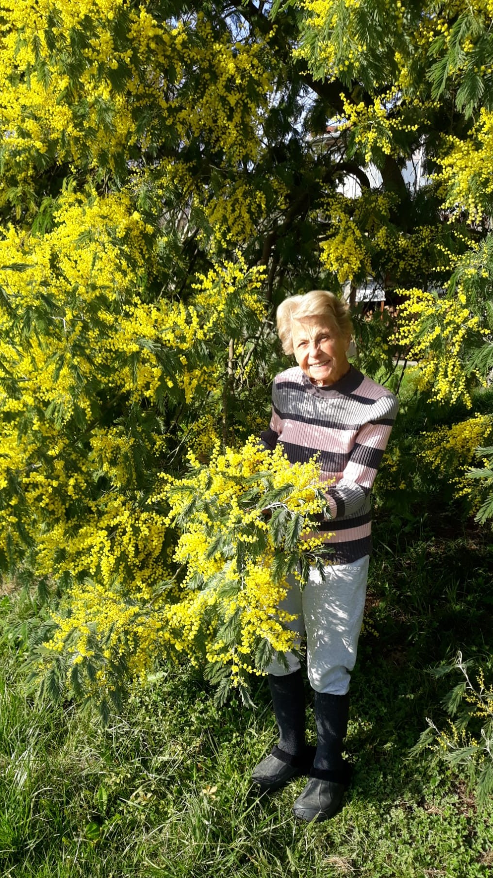 Madame Joséphine BORDAS née VAZELLE