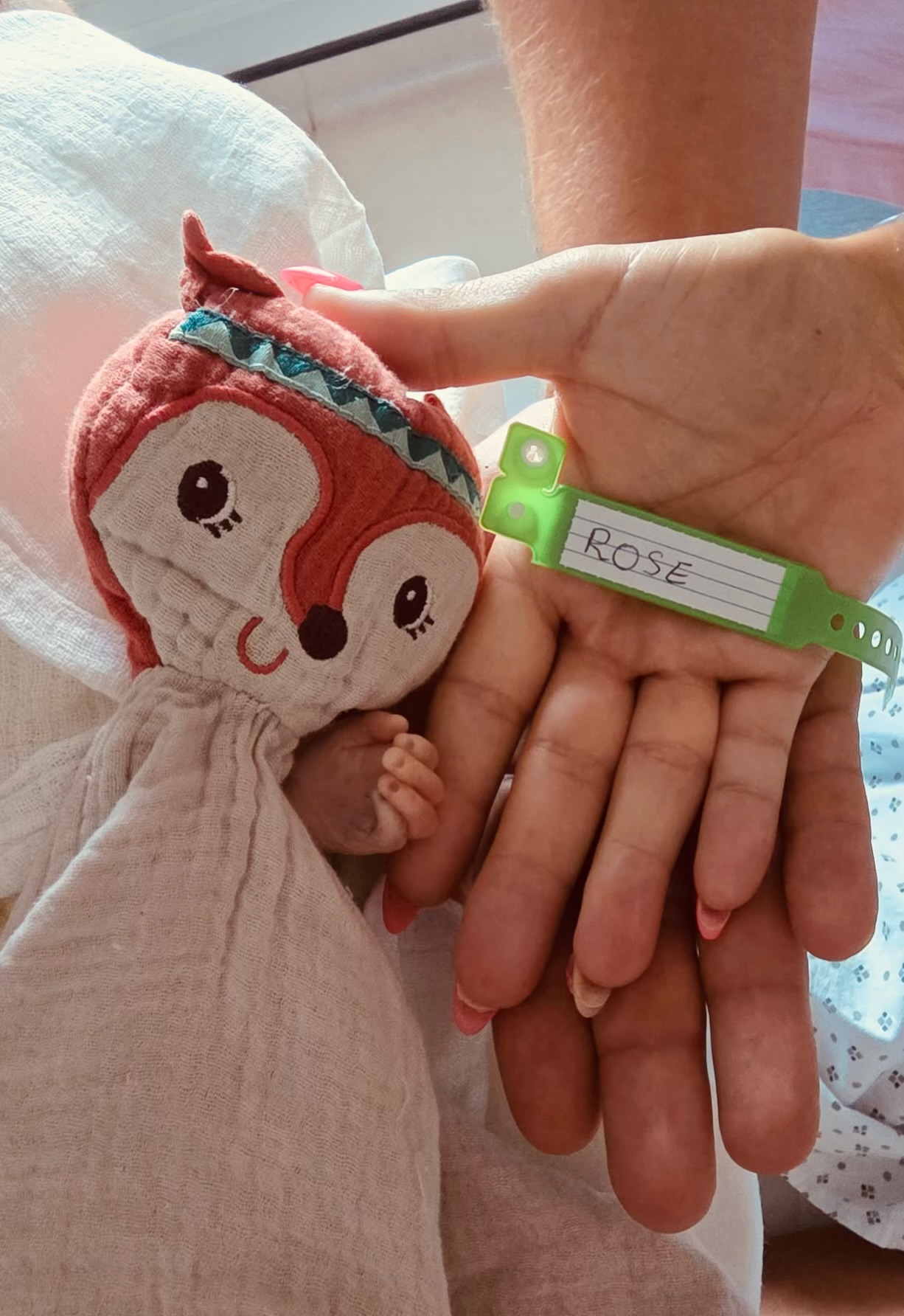 Rose ARRIBERT né(e) ALCARAZ