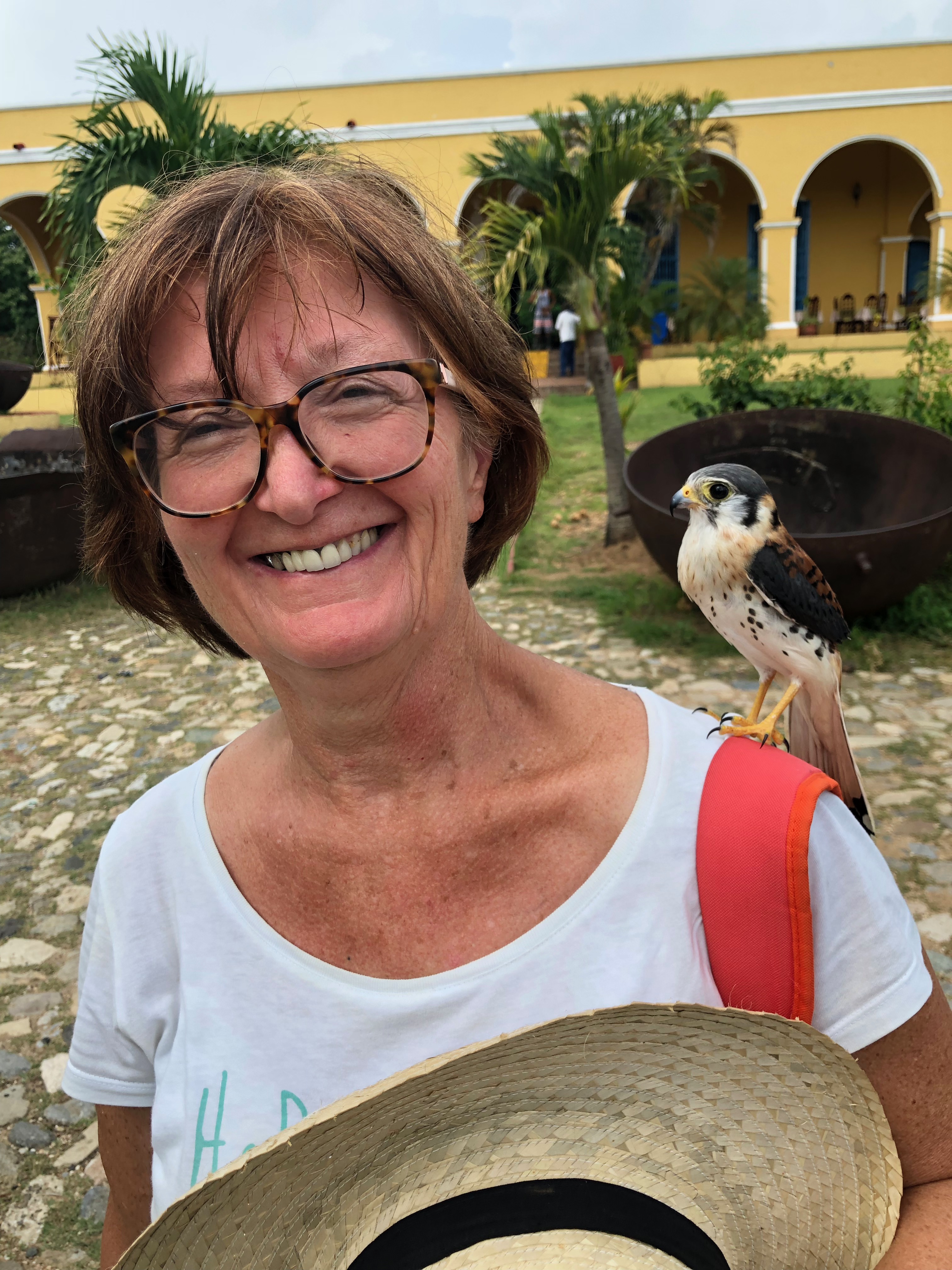 Photo de profil de Madame Patricia, Dominique GIRAUDON